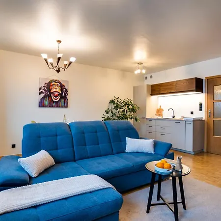Centrum 50 M Od Rynku, Free Parking Apartment Nowy Targ